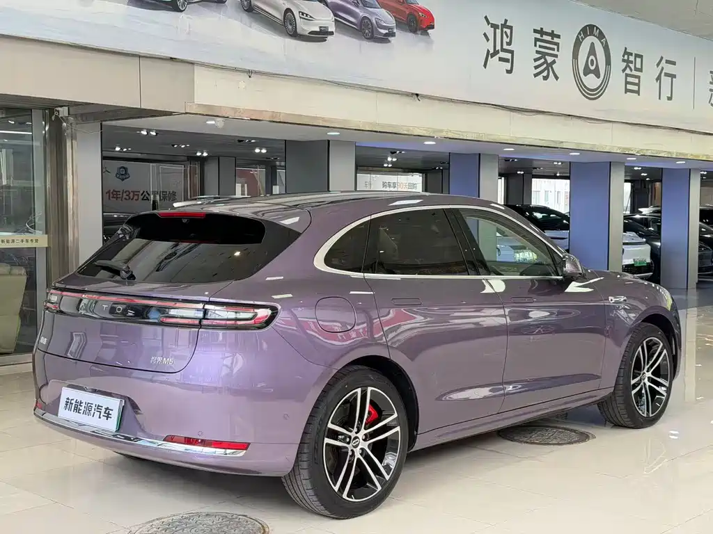 AITO ASK THE WORLD M5