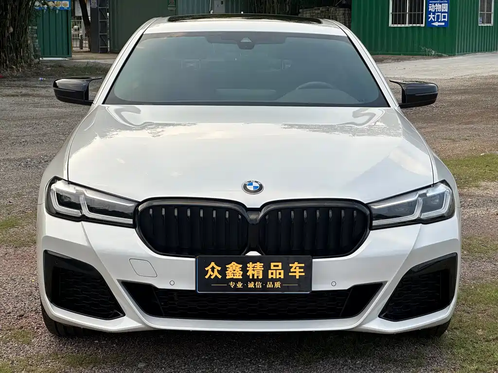 BMW 5 Series — миниатюра 2