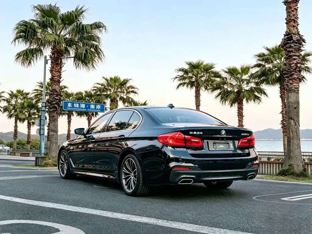 BMW 5 Series — миниатюра 8