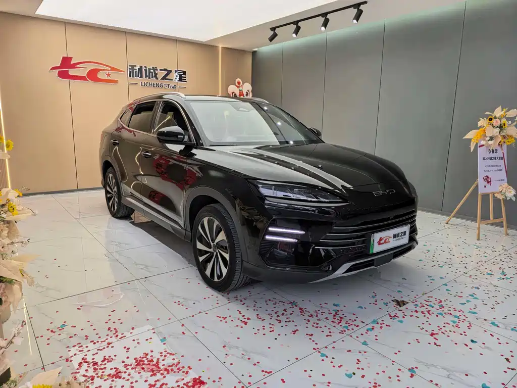 BYD PLUS New Energy — миниатюра 2