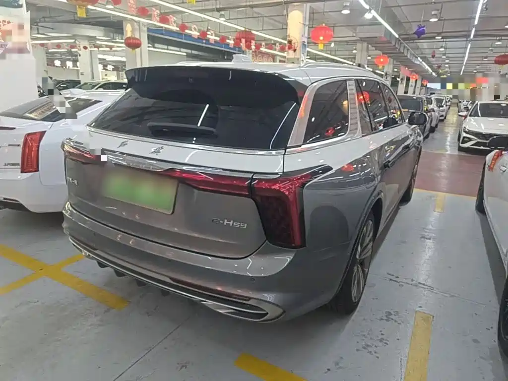 Hongqi Hongqi E-HS9 — миниатюра 7