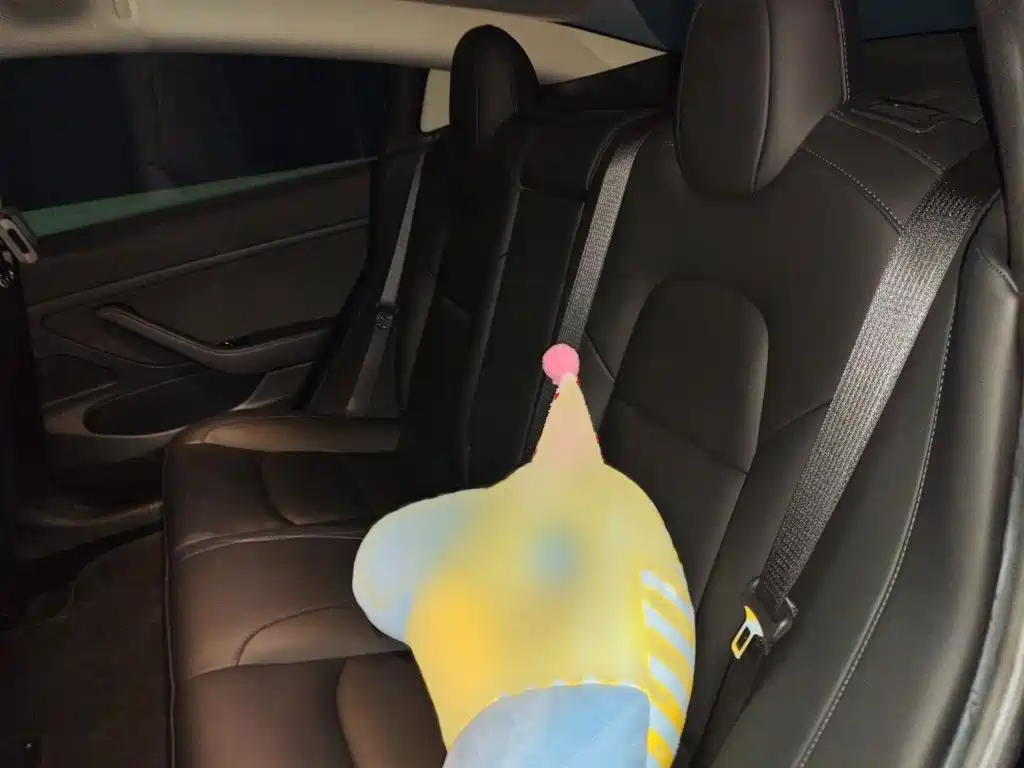 Tesla Model 3 — миниатюра 15