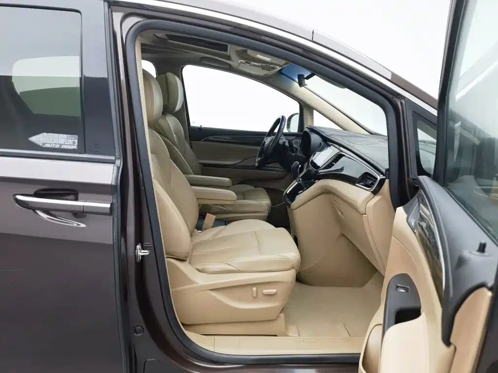 Buick GL8 — миниатюра 23