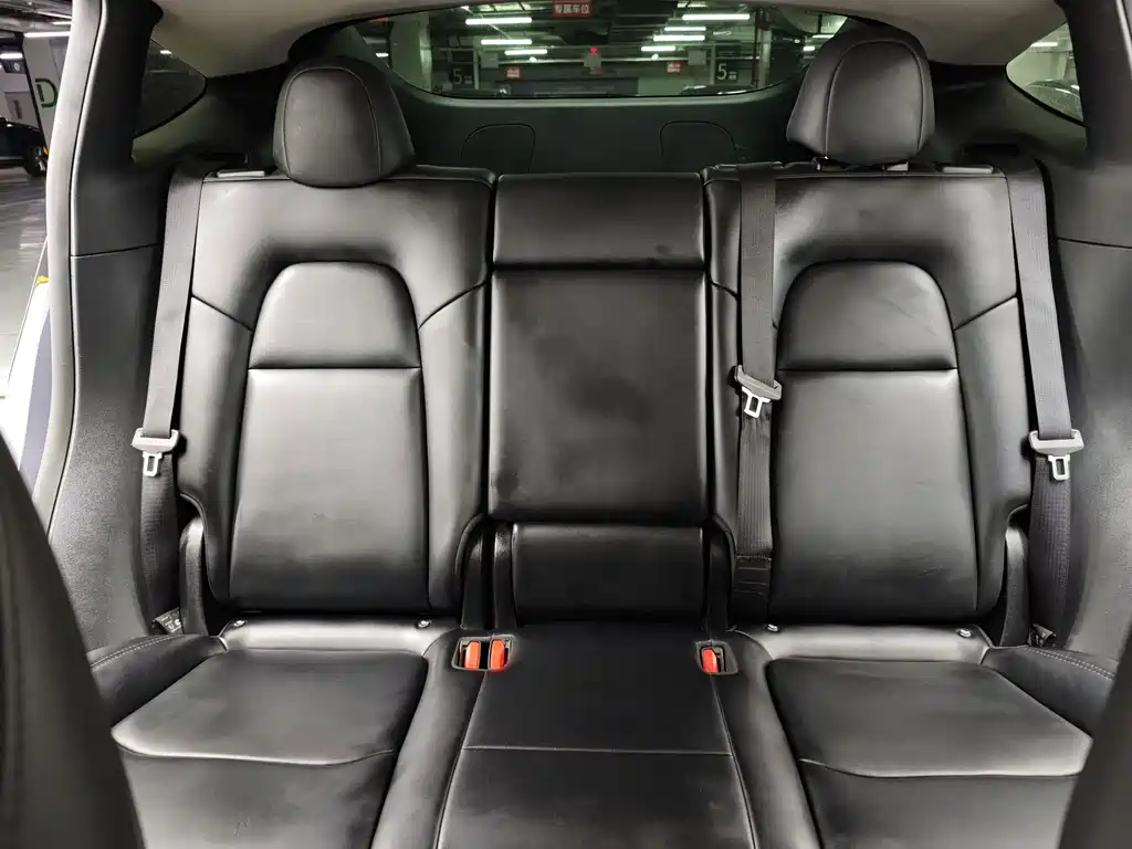 Tesla Model Y — миниатюра 38