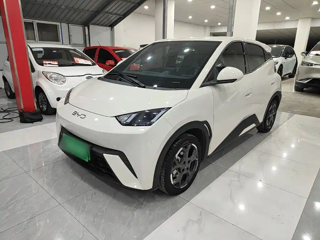 BYD Seagull