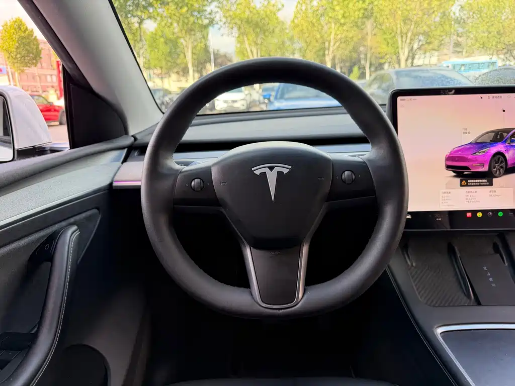 Tesla Model Y — миниатюра 12