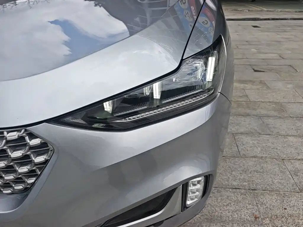 Wey Wey VV6 — миниатюра 24