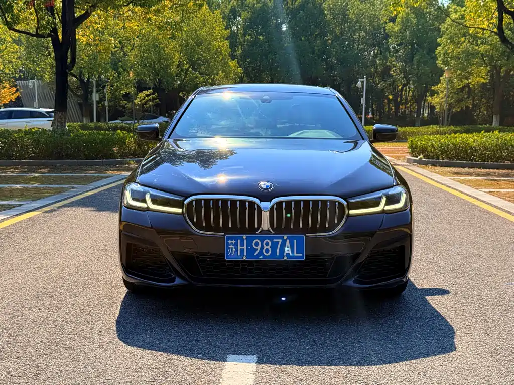 BMW 5 Series — миниатюра 2