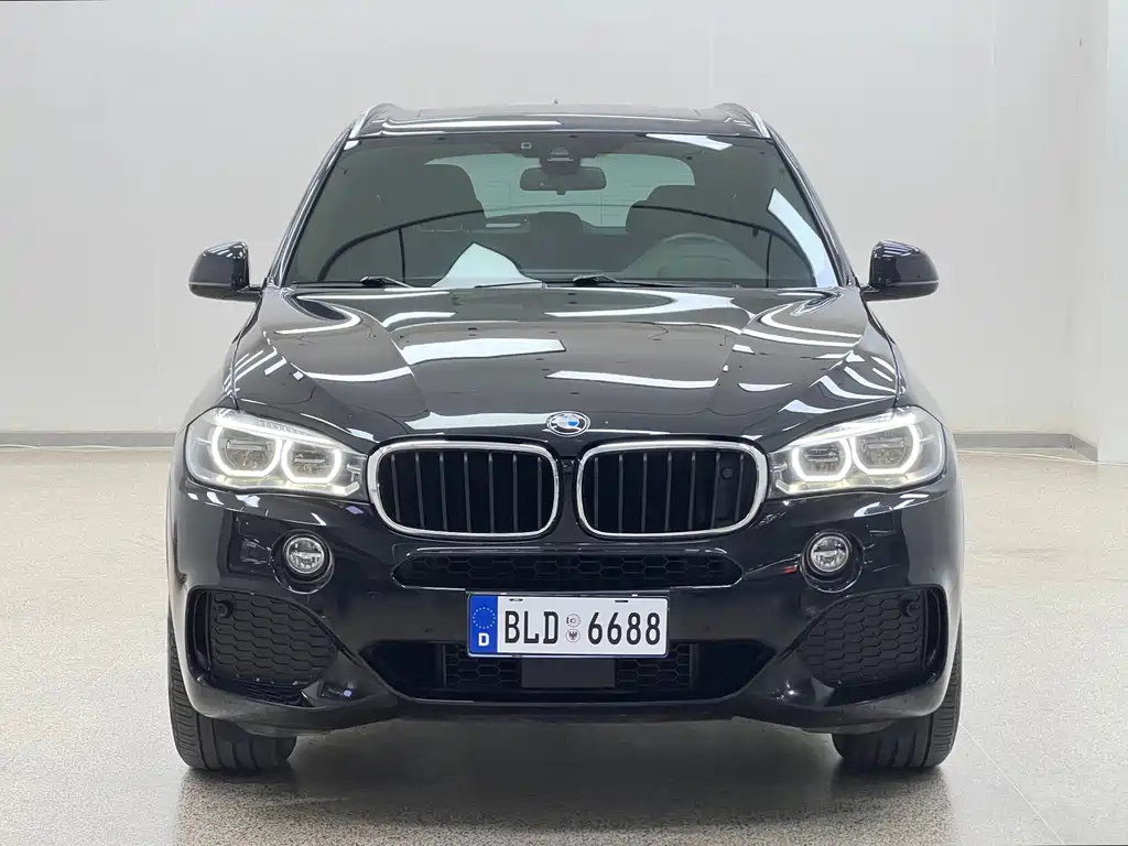 BMW X5 (Import) — миниатюра 2