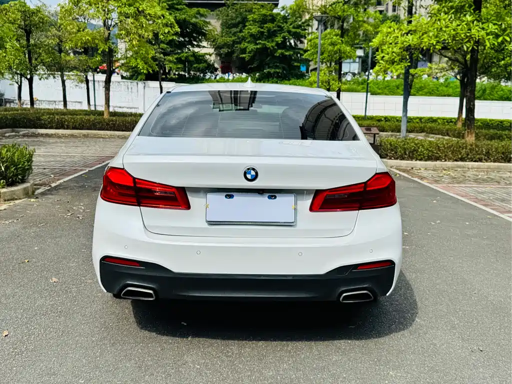 BMW 5 Series 5 2020 525Li M Sport