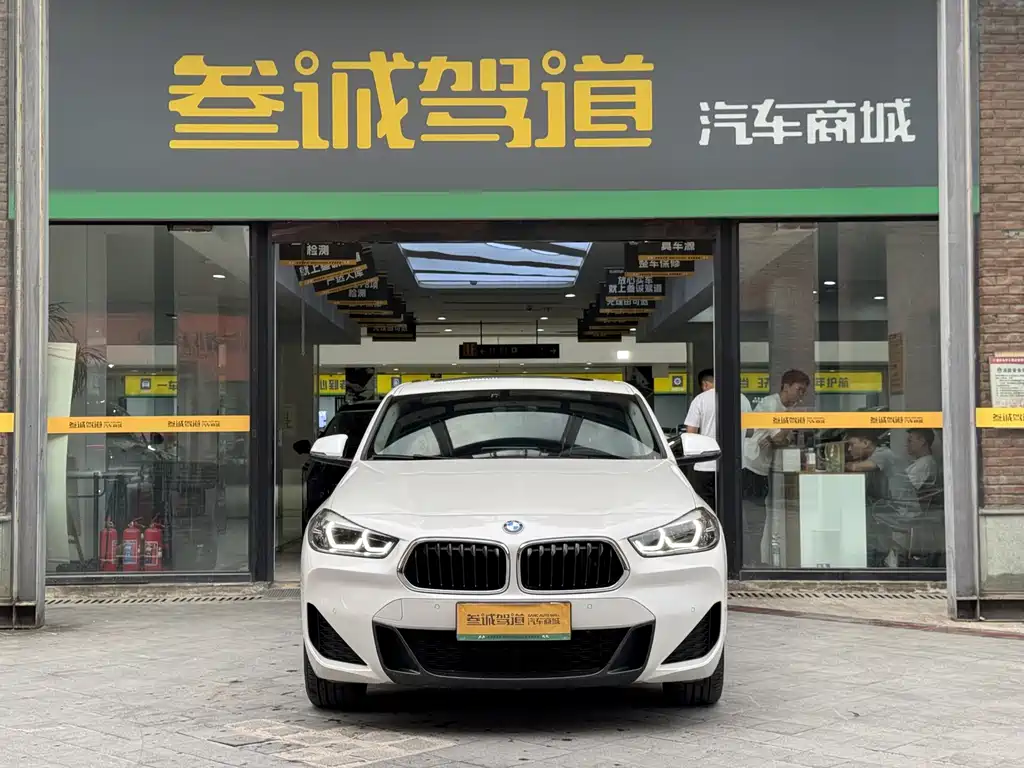 BMW X2 — миниатюра 2