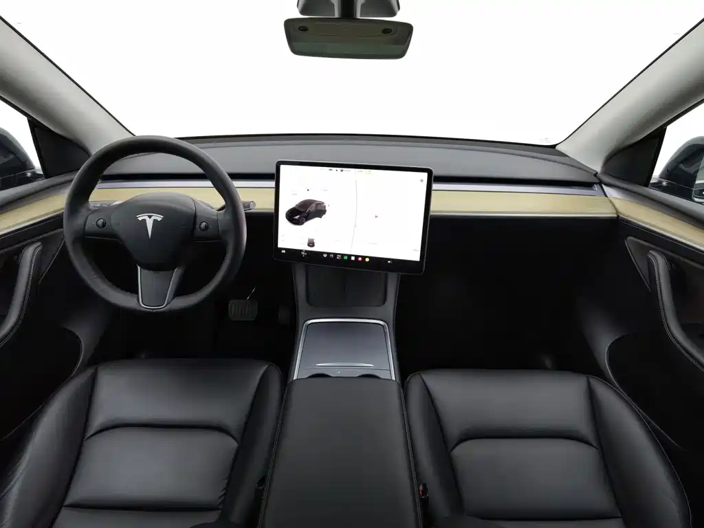 Tesla Model Y — миниатюра 5