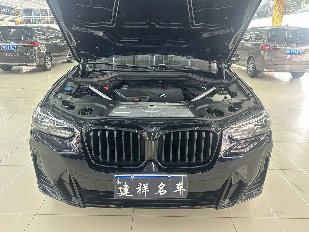 BMW X3 xDrive30i Leading Type M Night Package, фото 19