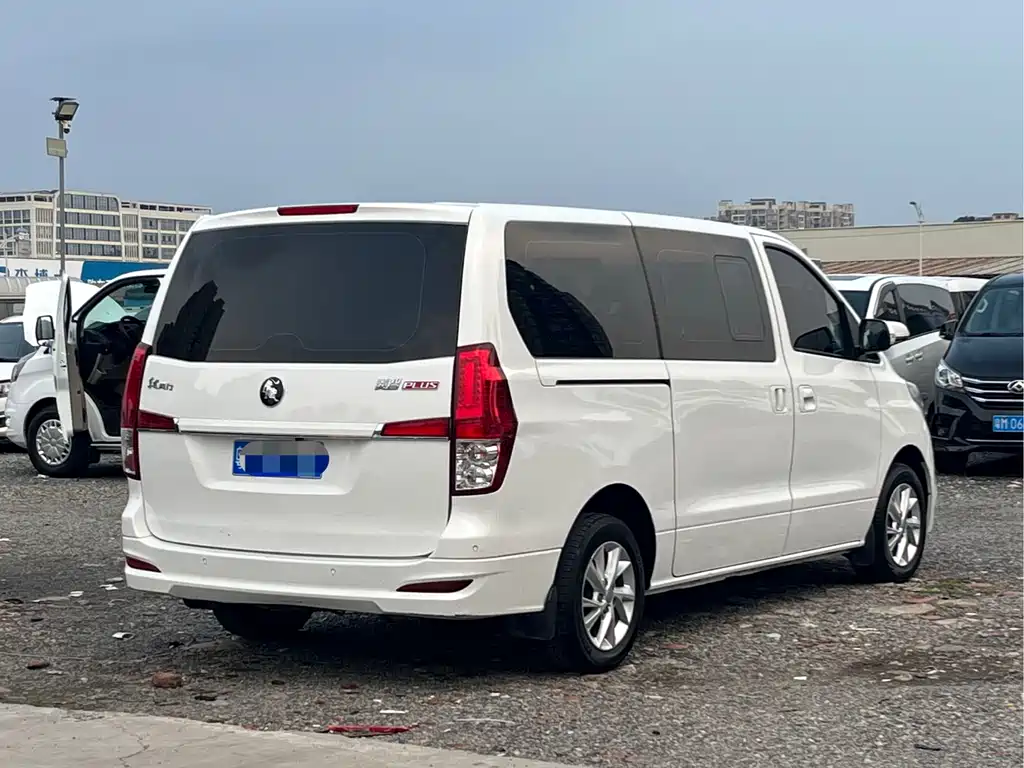 Forthing Lingzhi Plus PLUS 2024 1.5T MT Luxury 9 мест