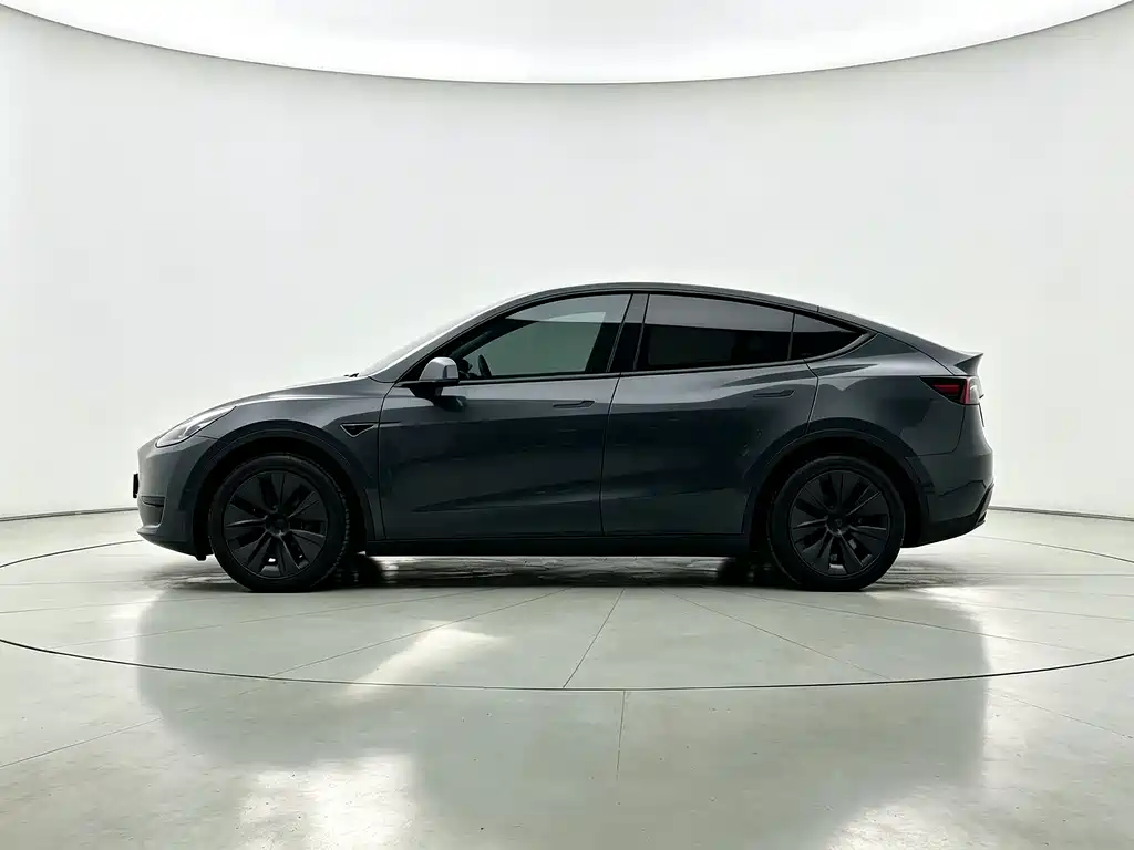 Tesla Model Y — миниатюра 7