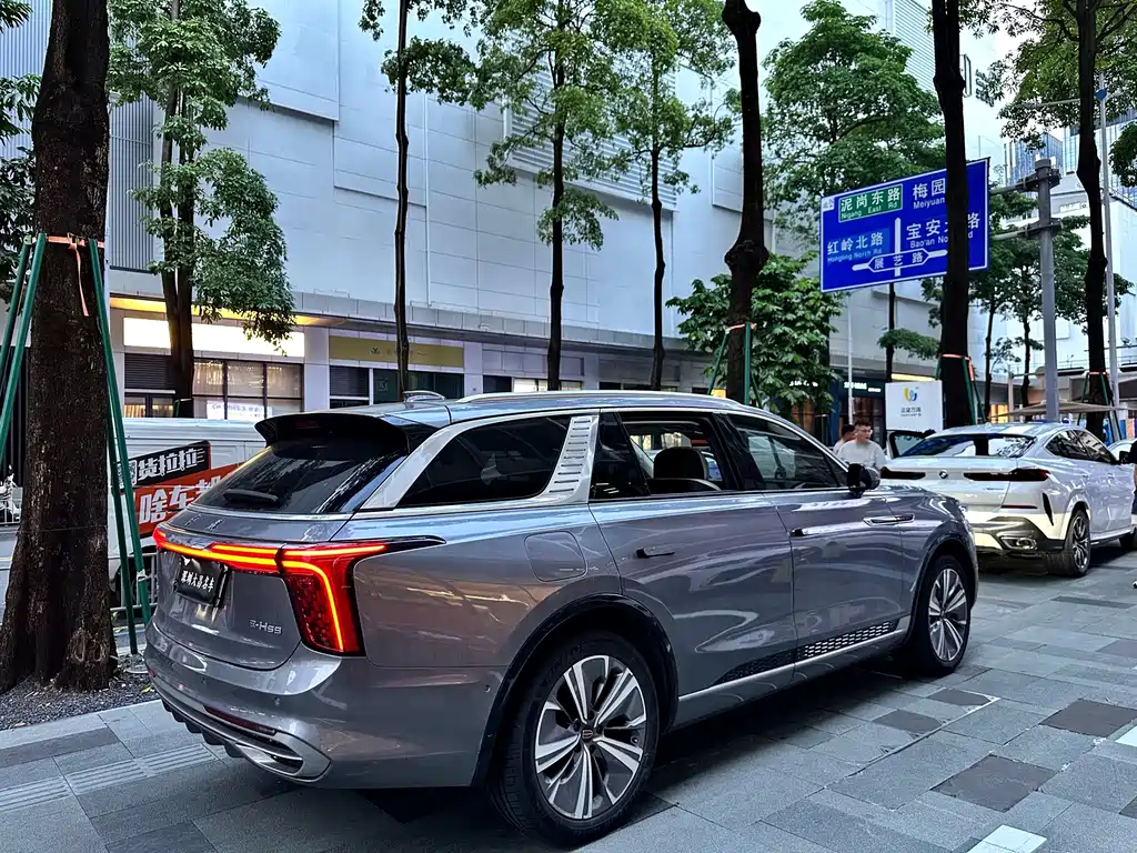 Hongqi Hongqi E-HS9 — миниатюра 5