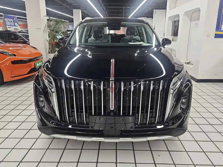 Hongqi Hongqi HS7 PHEV — миниатюра 2