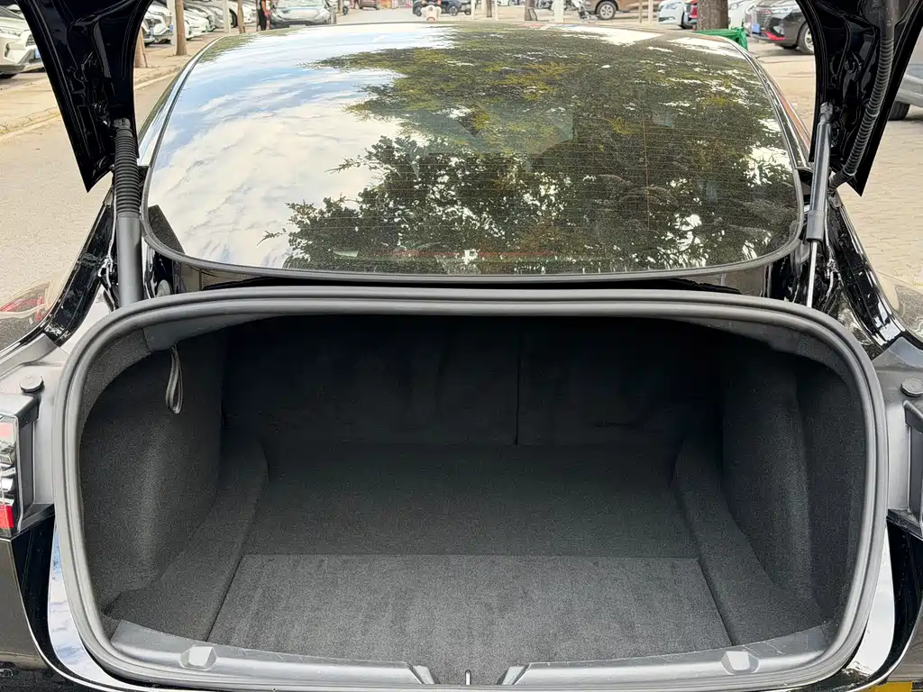 Tesla Model 3 — миниатюра 7