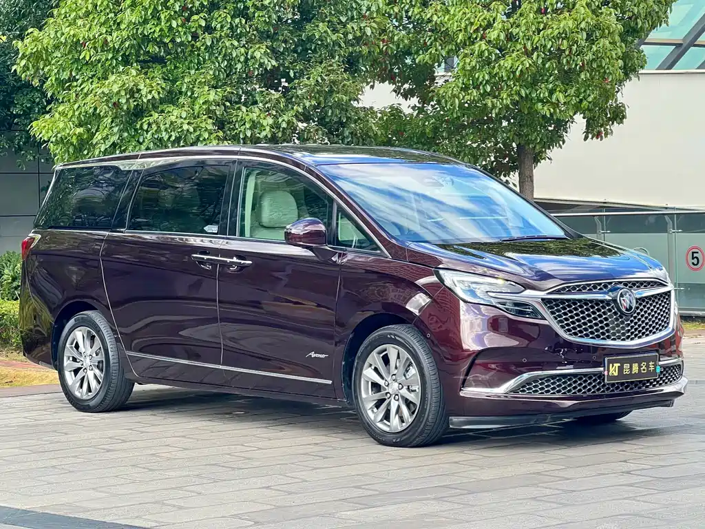 Buick GL8 — миниатюра 3