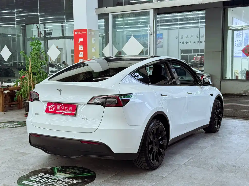 Tesla Model Y — миниатюра 7
