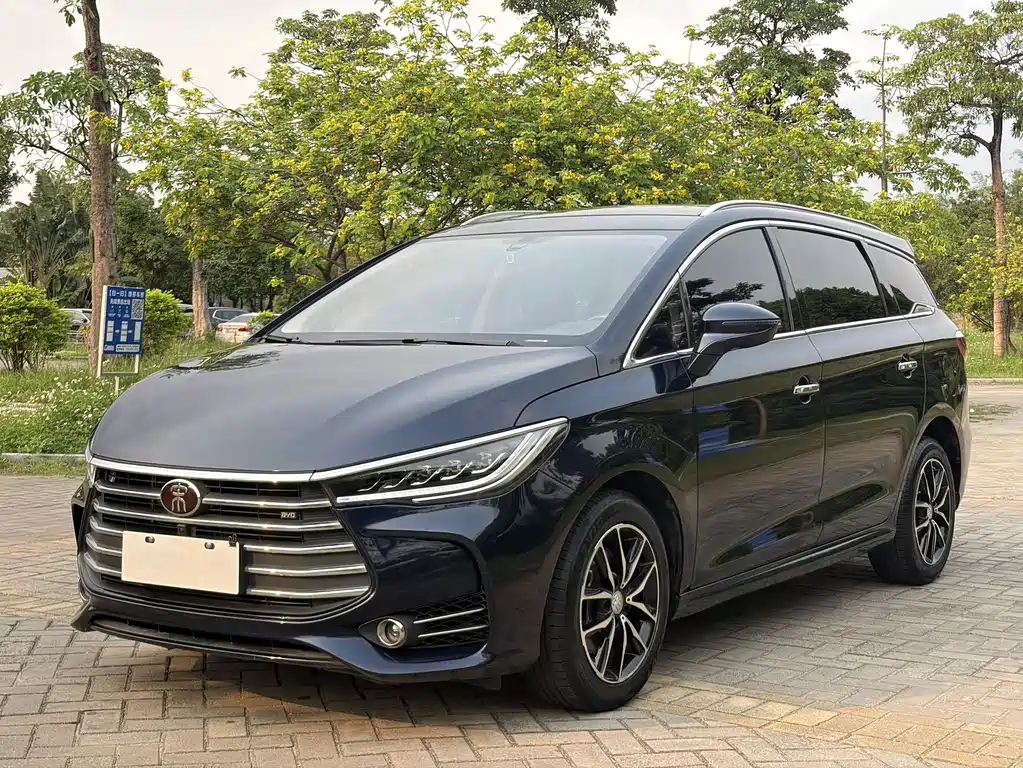 Byd MAX 2018