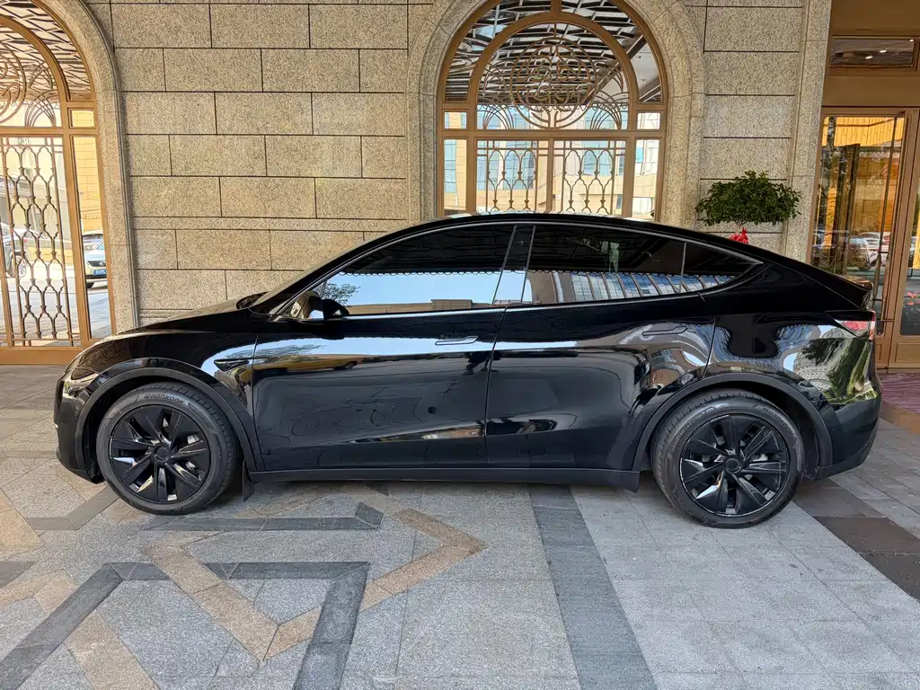 Tesla Model Y — миниатюра 8