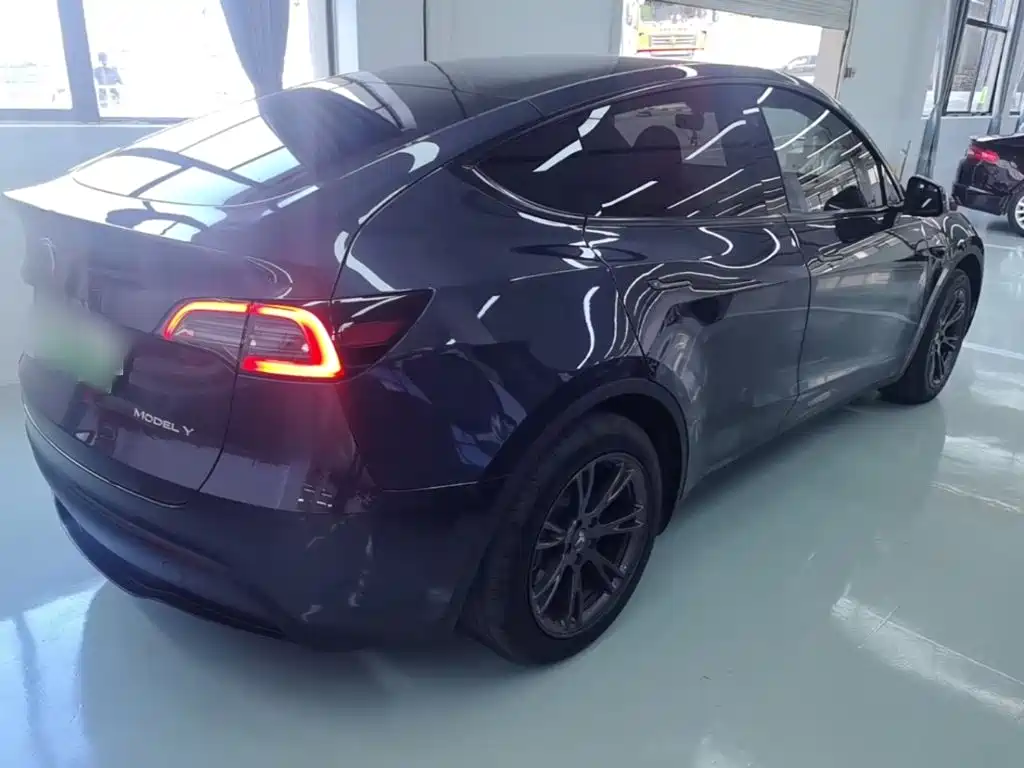Tesla Model Y — миниатюра 7
