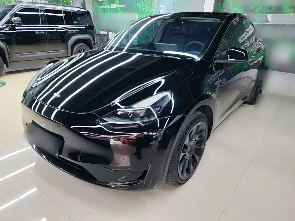 Tesla Model Y — миниатюра 2
