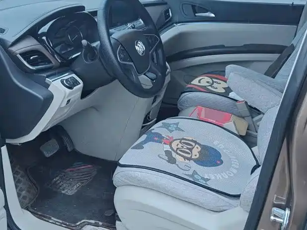 Buick GL8 — миниатюра 4