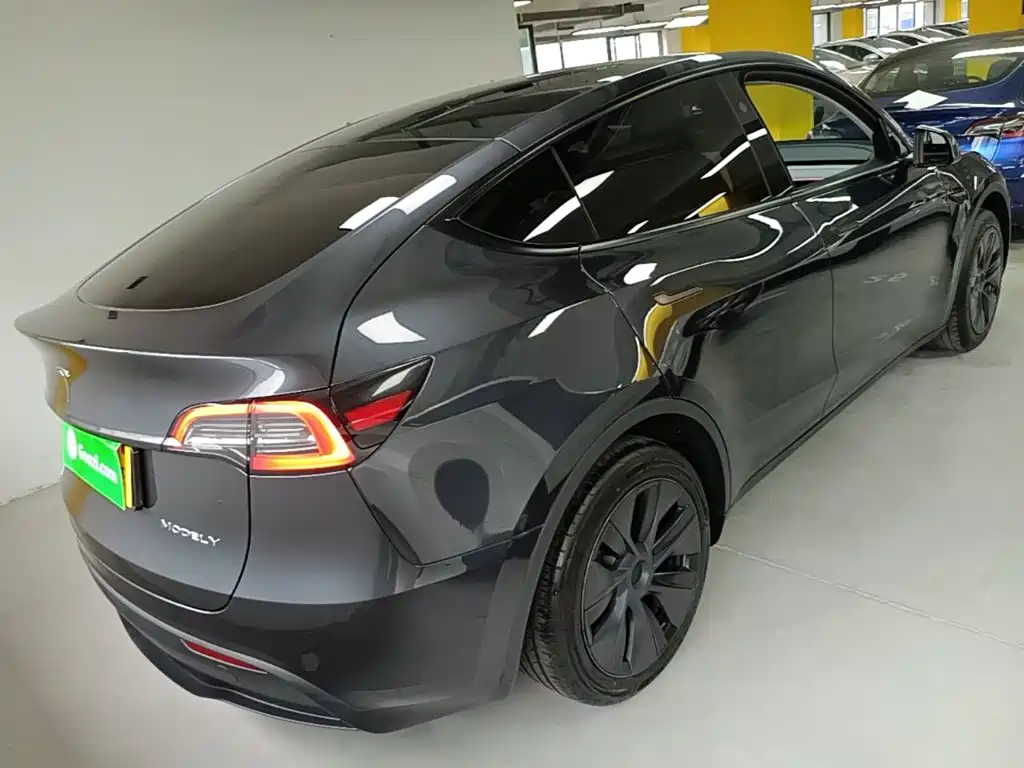 Tesla Model Y — миниатюра 7