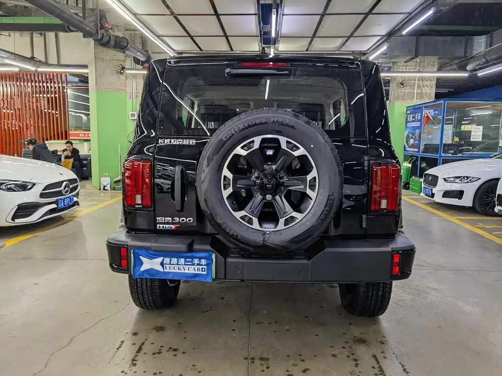 TANK TANK 300 NEW ENERGY