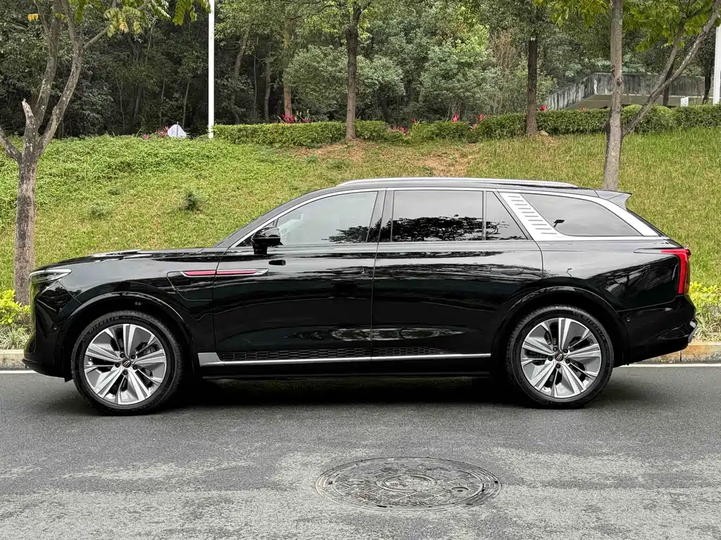 Hongqi Hongqi E-HS9 — миниатюра 3