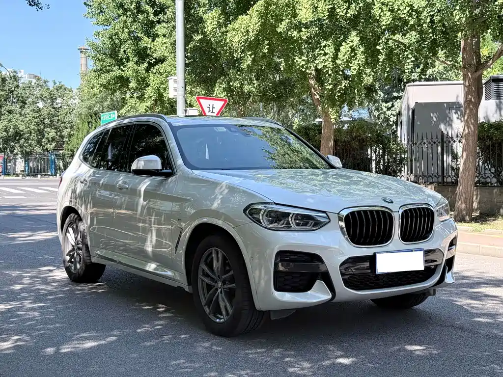 BMW X3 — миниатюра 3