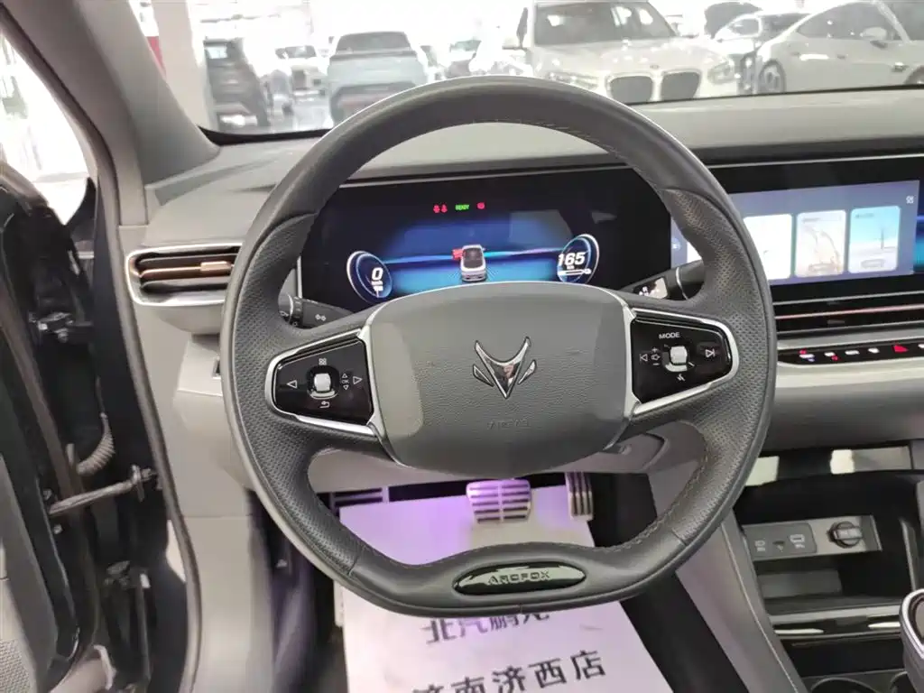 ARCFOX EXTREME FOX POLAR FOX ALPHA S