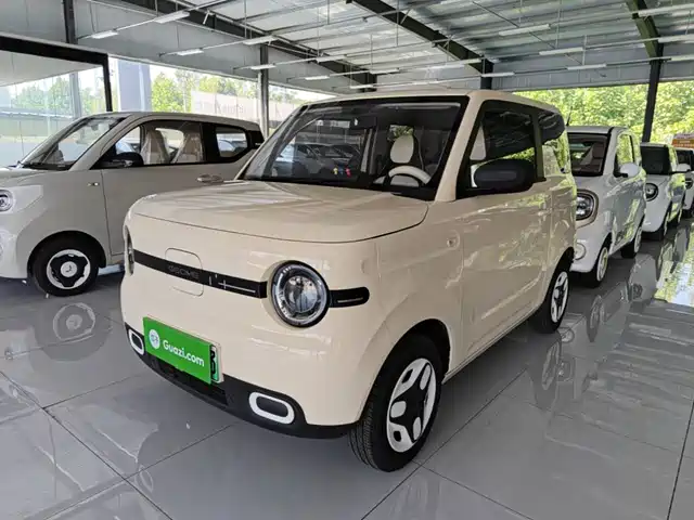 2025 Geely LC (Panda)