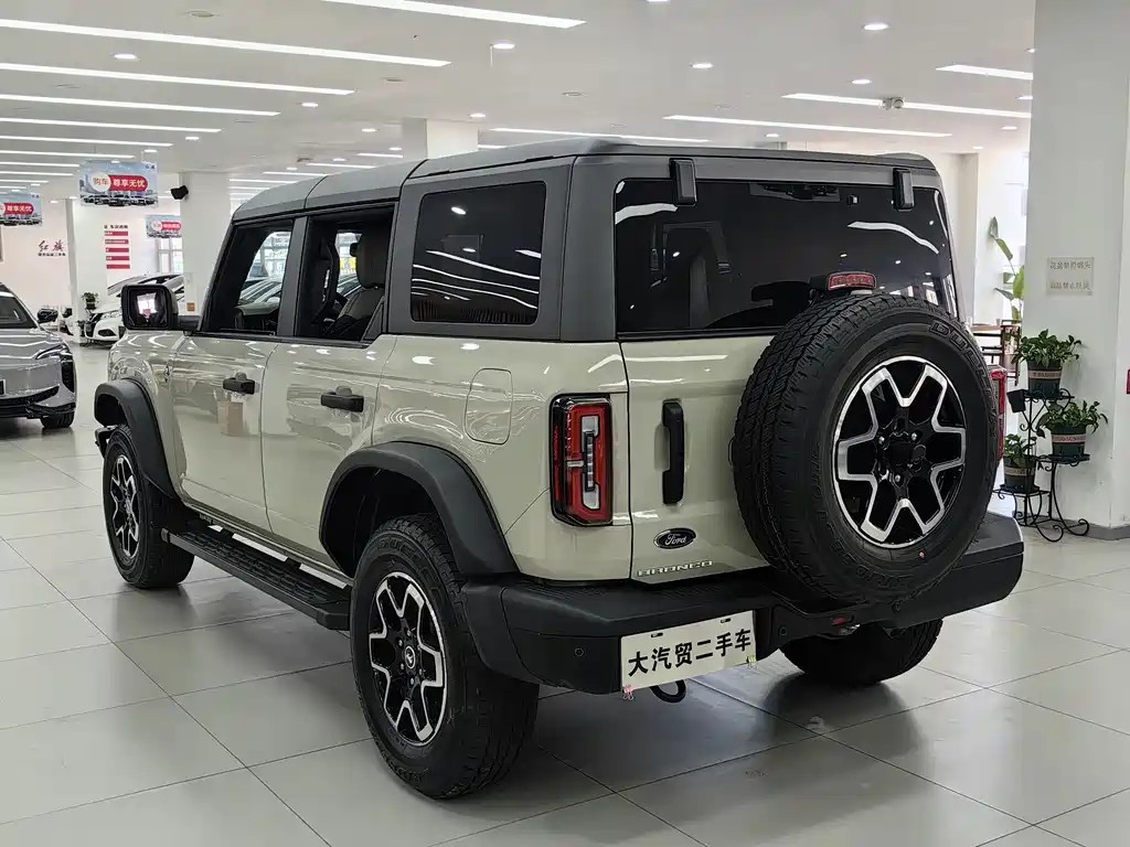 Ford Bronco — миниатюра 5