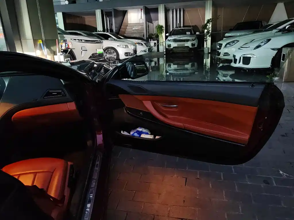 BMW 6 Series — миниатюра 6