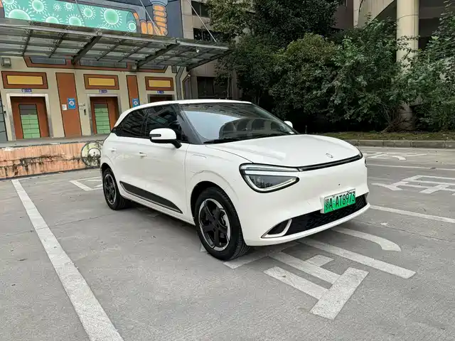 DONGFENG NANO 01 2024