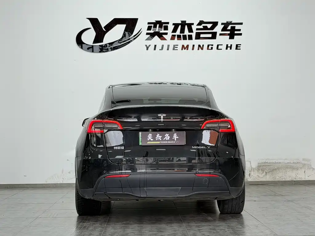 Tesla Model Y — миниатюра 9
