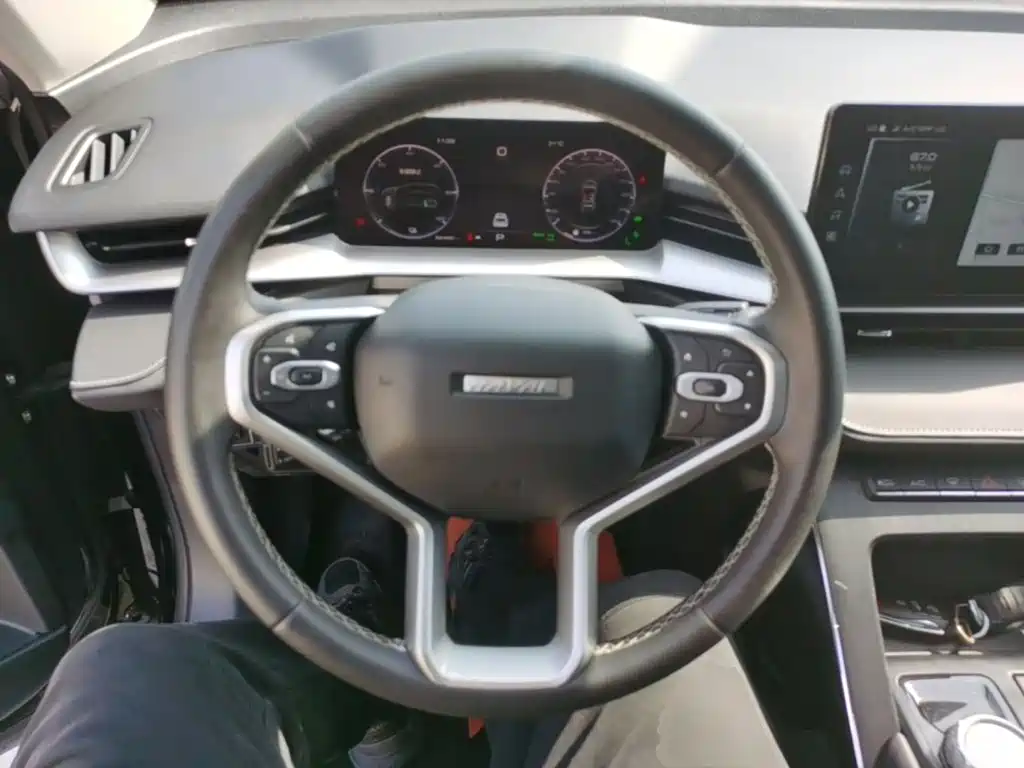Haval H6 New Energy — миниатюра 11