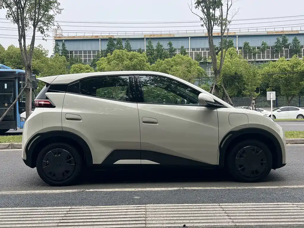 BYD Seagull 2025 Smart Drive 305km