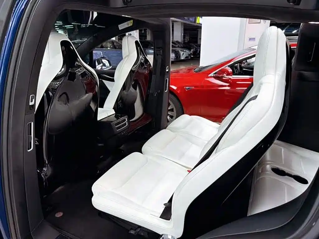 Tesla Model X — миниатюра 11