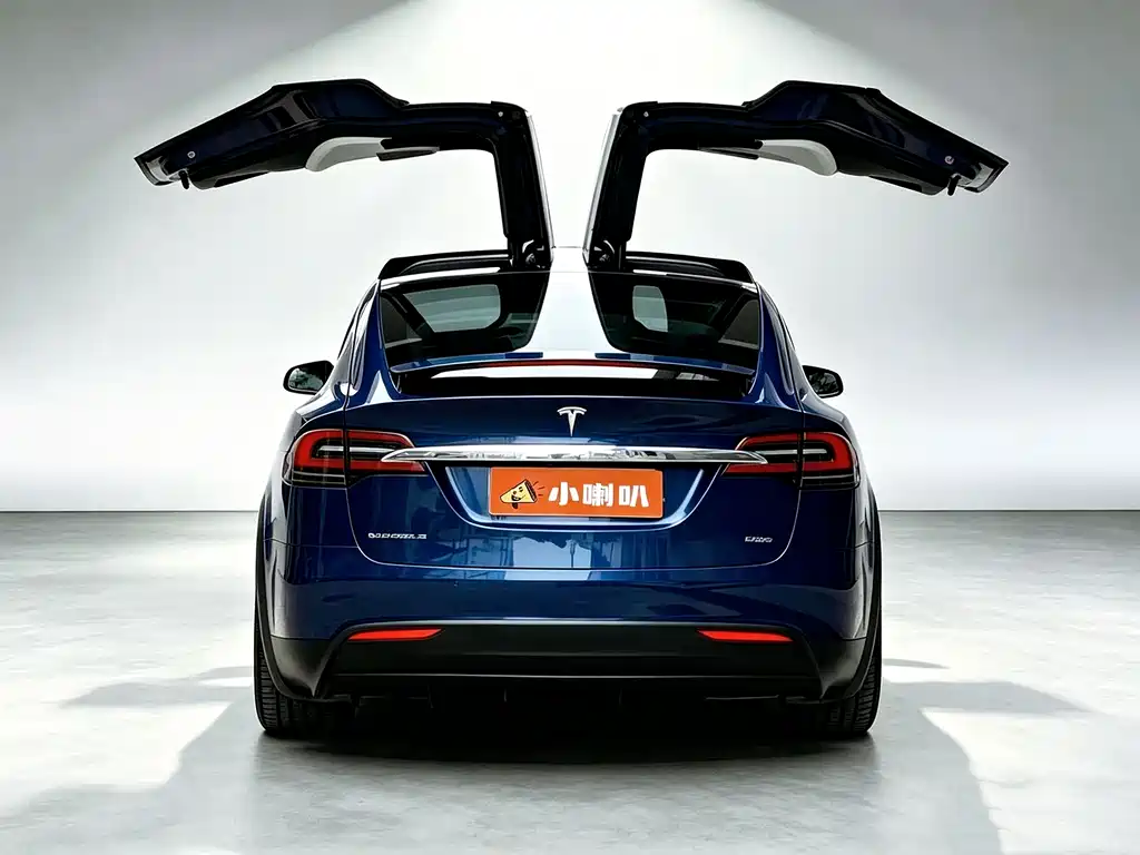 Tesla Model X — миниатюра 5