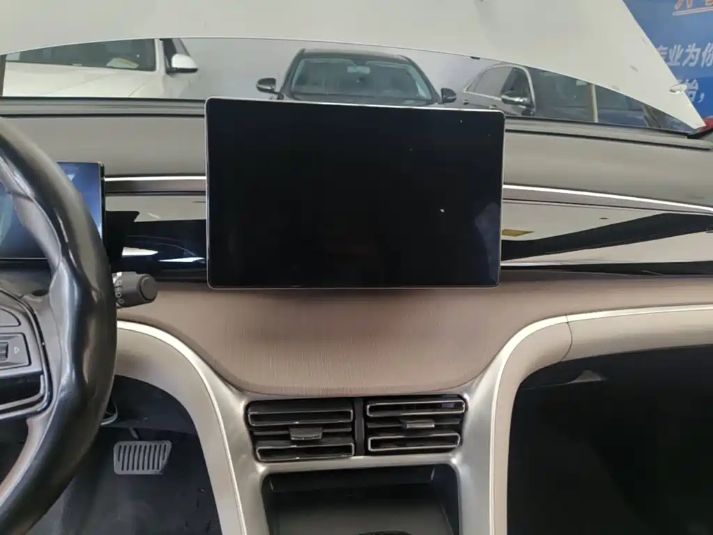 BYD Pro New Energy — миниатюра 13