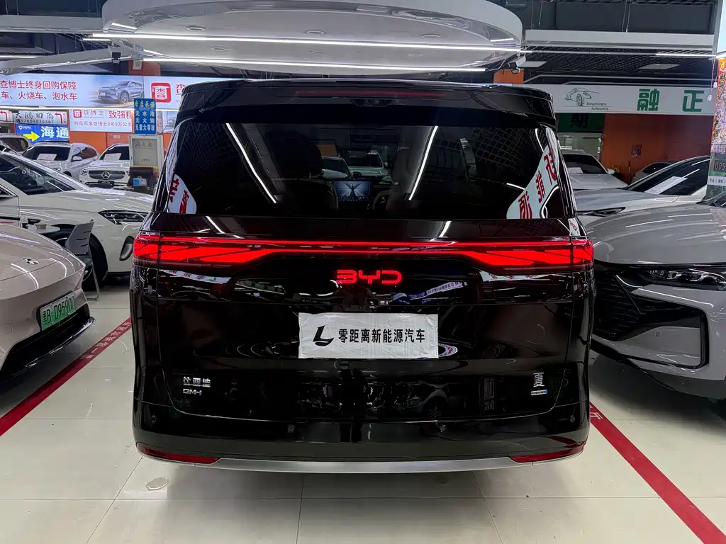 BYD Xia — миниатюра 5