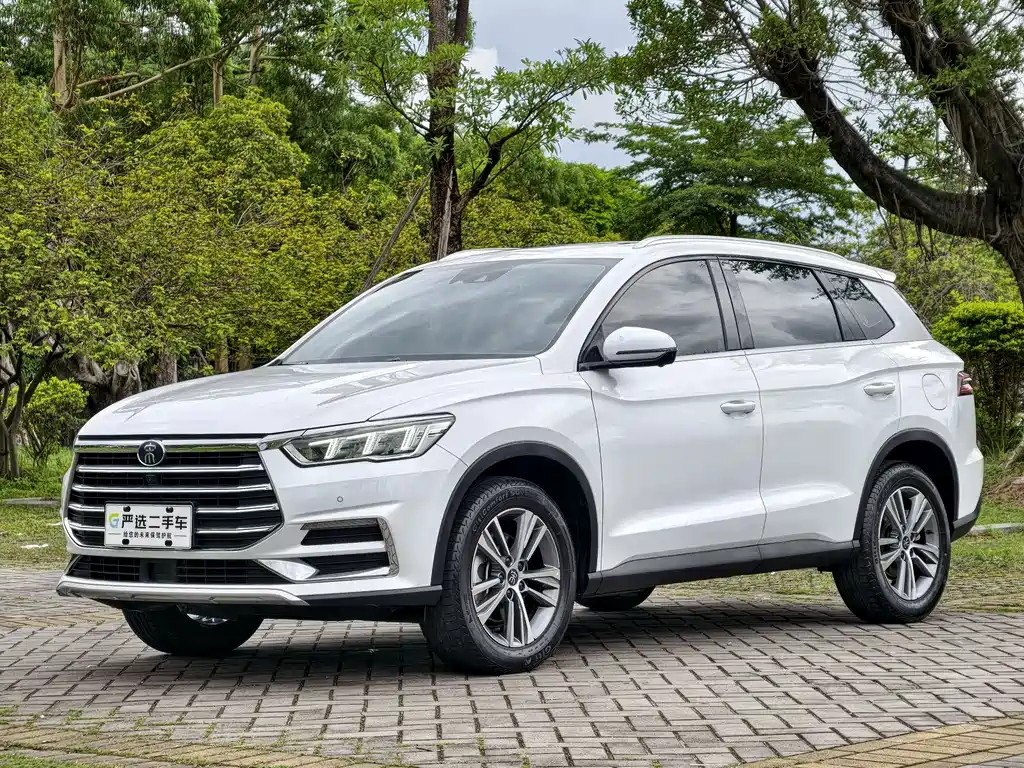 Byd Pro 2020