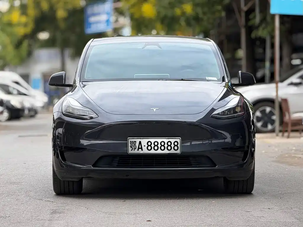 Tesla Model Y — миниатюра 2