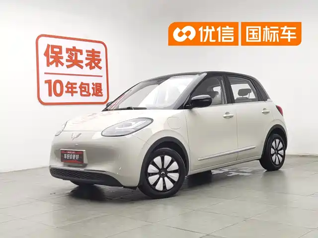 2024 Wuling Motors Binguo