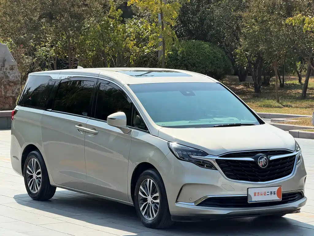 Buick GL8 — миниатюра 3