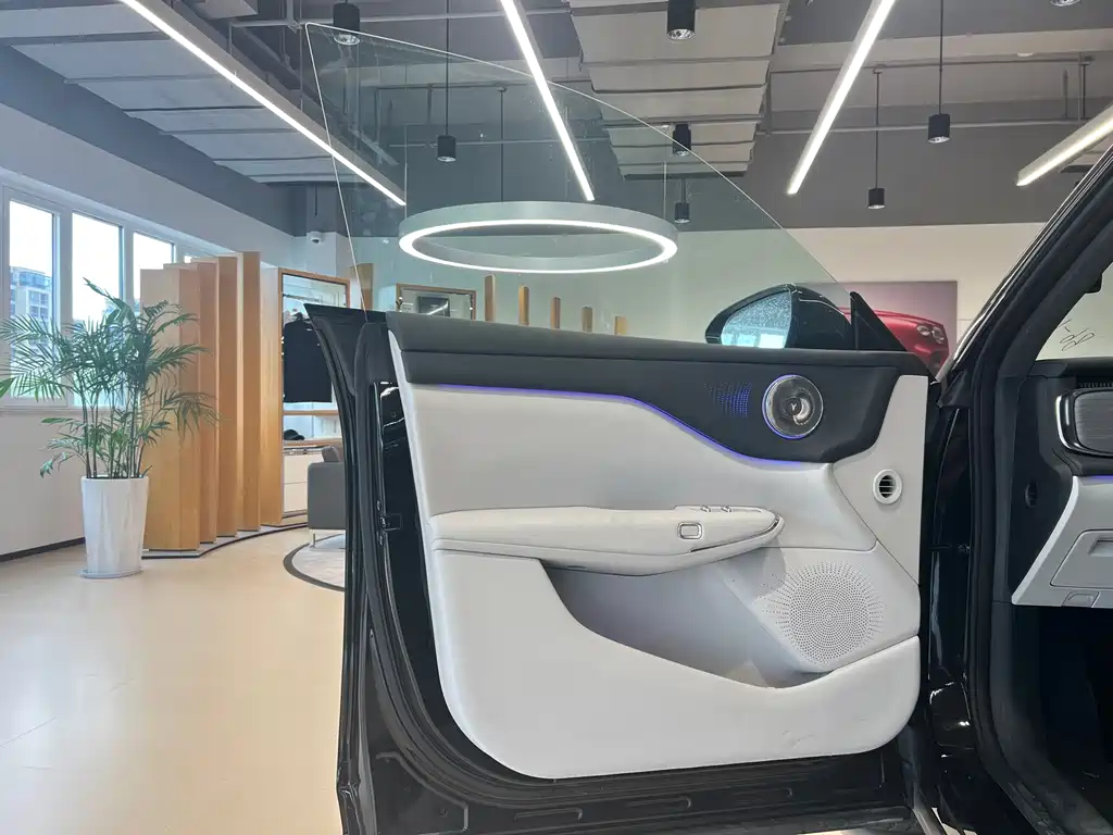 VOYAH Zhiyin — миниатюра 7